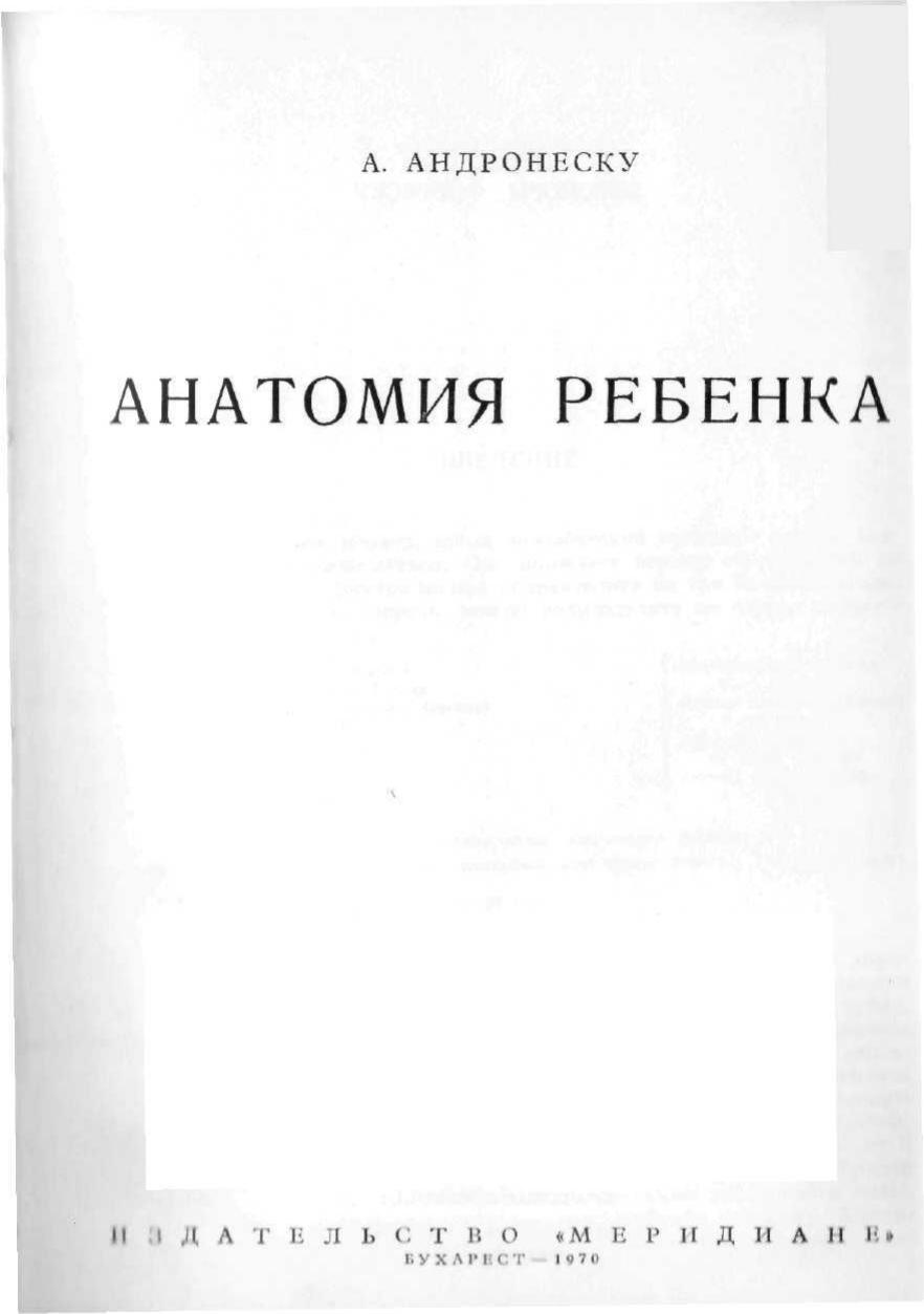 Анатомия ребенка