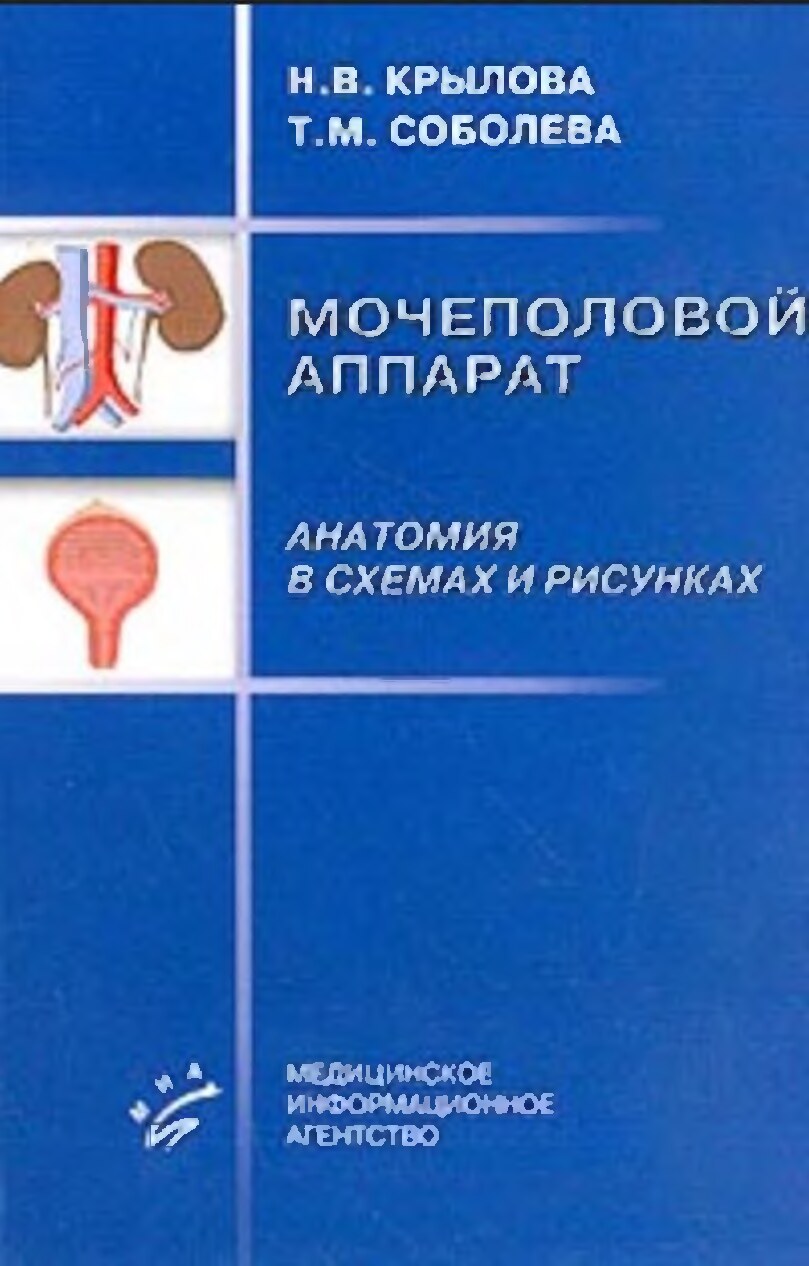 Крылова Н.В. Соболева Т.М. Мочеполовой аппарат (анатомия в схемах и рисунках)