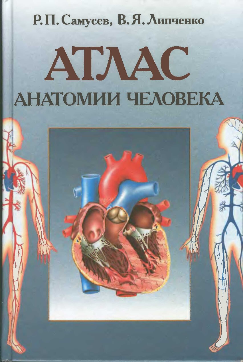 Аталс анатомии и физиологии человека
